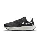 Nike Air Zoom Pegasus 38 Shield Black/Platinum Tint DC4074-001 Women's