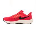Nike Air Zoom Pegasus 39