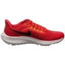 Nike Air Zoom Pegasus 39