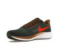 Nike Air Zoom Pegasus 39 A.I.R. Hola Lou