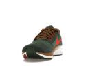 Nike Air Zoom Pegasus 39 A.I.R. Hola Lou
