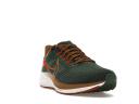 Nike Air Zoom Pegasus 39 A.I.R. Hola Lou