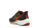 Nike Air Zoom Pegasus 39 A.I.R. Hola Lou