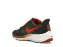 Nike Air Zoom Pegasus 39 A.I.R. Hola Lou