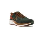 Nike Air Zoom Pegasus 39 A.I.R. Hola Lou