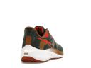 Nike Air Zoom Pegasus 39 A.I.R. Hola Lou