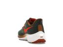 Nike Air Zoom Pegasus 39 A.I.R. Hola Lou
