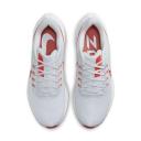 Nike Air Zoom Pegasus 39 Platinum Tint/Lt Crimson-White DH4071-009 Men's