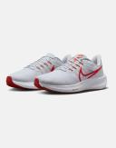 Nike Air Zoom Pegasus 39 Platinum Tint/Lt Crimson-White DH4071-009 Men's