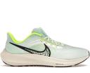 Nike Air Zoom Pegasus 39 White Crimson Racer Blue