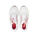 Nike Air Zoom Pegasus 39 White/university Red DH4072-103 Women's