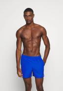 Nike Core Swim Shorts Mens, Size M, Blue