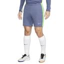 Nike Dri-Fit Academy Men's Dri-Fit Global Football Shorts