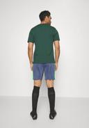 Nike Dri-Fit Academy Men's Dri-Fit Global Football Shorts