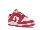 Nike Dunk Low Archeo Pink (W)