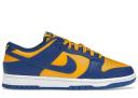 Nike Dunk Low Retro