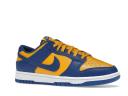 Nike Dunk Low Retro