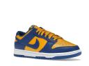 Nike Dunk Low Retro