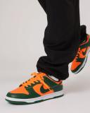 Nike Dunk Low Retro Miami Hurricanes