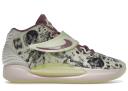 Nike KD 14 NRG Surrealism