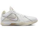 Nike KD 3 Retro White Metallic Gold