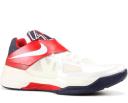 Nike KD 4 Gold Medal