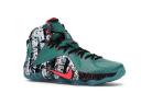 Nike LeBron 12 Akron Birch