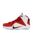 Nike LeBron 12 Heart of A Lion