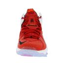 Nike LeBron 12 Heart of A Lion