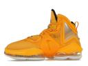 Nike LeBron 19 Hard Hat