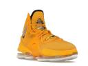 Nike LeBron 19 Hard Hat