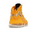 Nike LeBron 19 Hard Hat