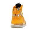 Nike LeBron 19 Hard Hat