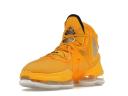 Nike LeBron 19 Hard Hat