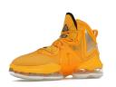 Nike LeBron 19 Hard Hat