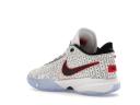 Nike LeBron 20 The Debut (GS)