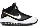 Nike LeBron 7 Dunkman