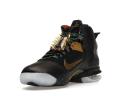Nike LeBron 9 'Watch The Throne'