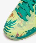Nike LeBron IX Low