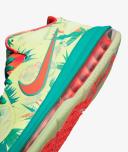 Nike LeBron IX Low