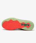 Nike LeBron IX Low