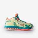 Nike LeBron IX Low