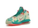 Nike LeBron IX Low