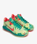 Nike LeBron IX Low