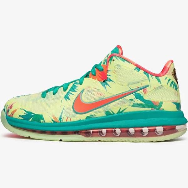 Nike LeBron IX Low