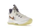 Nike LeBron Witness 5 Summit White Metallic Bronze