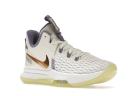 Nike LeBron Witness 5 Summit White Metallic Bronze