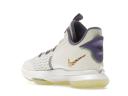 Nike LeBron Witness 5 Summit White Metallic Bronze