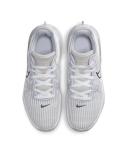 Nike LeBron Witness 6 Summit White Metallic Pewter