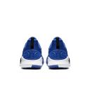 Nike Mamba Focus TB Game Royal